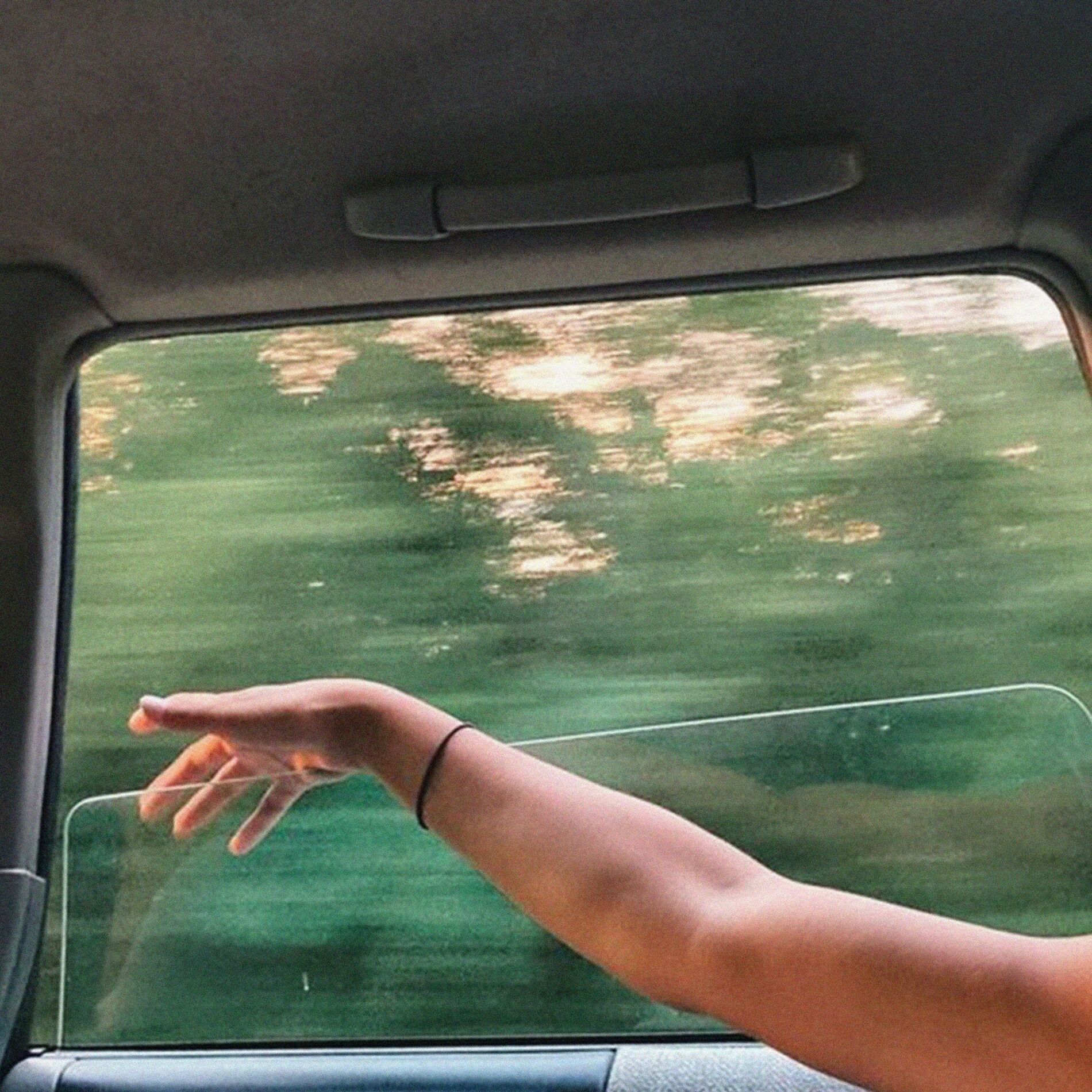 Album cover of everything