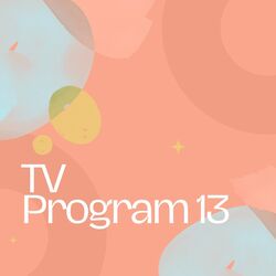 Cover of Tv Program 13
