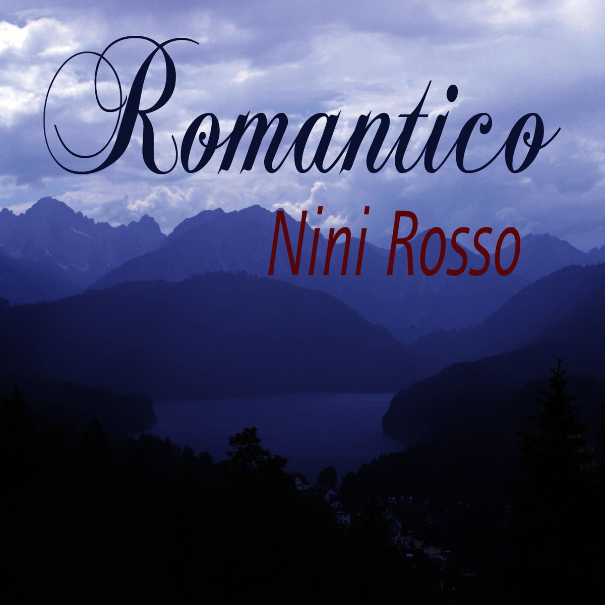 Album cover of Tema Dal Concerto