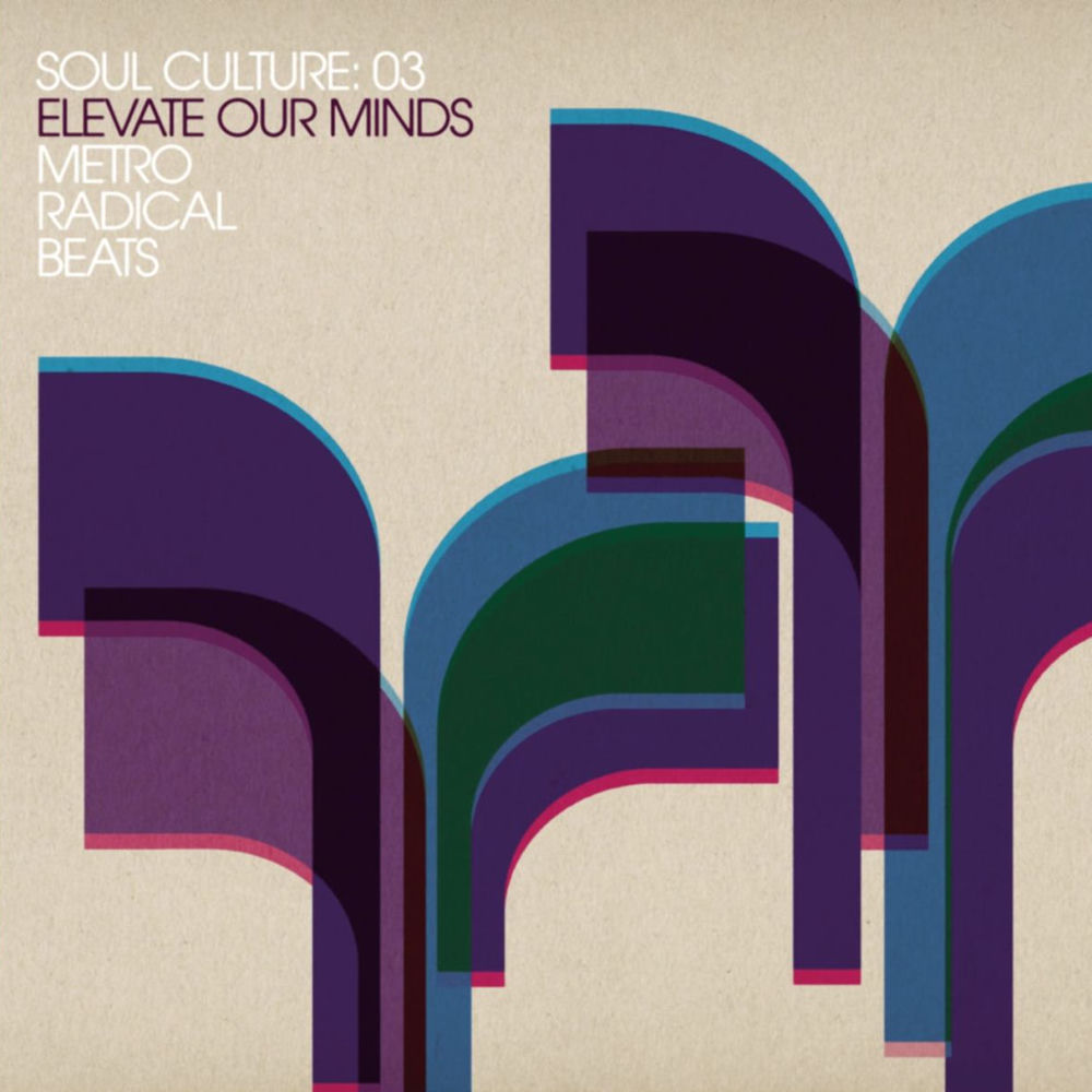 Pochette du titre Been Had