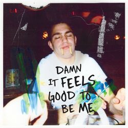 Cover of Damn It Feels Good To Be Me