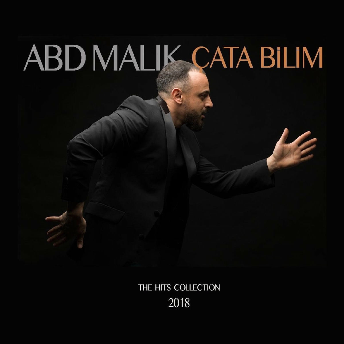 Album cover of Çata Bilim