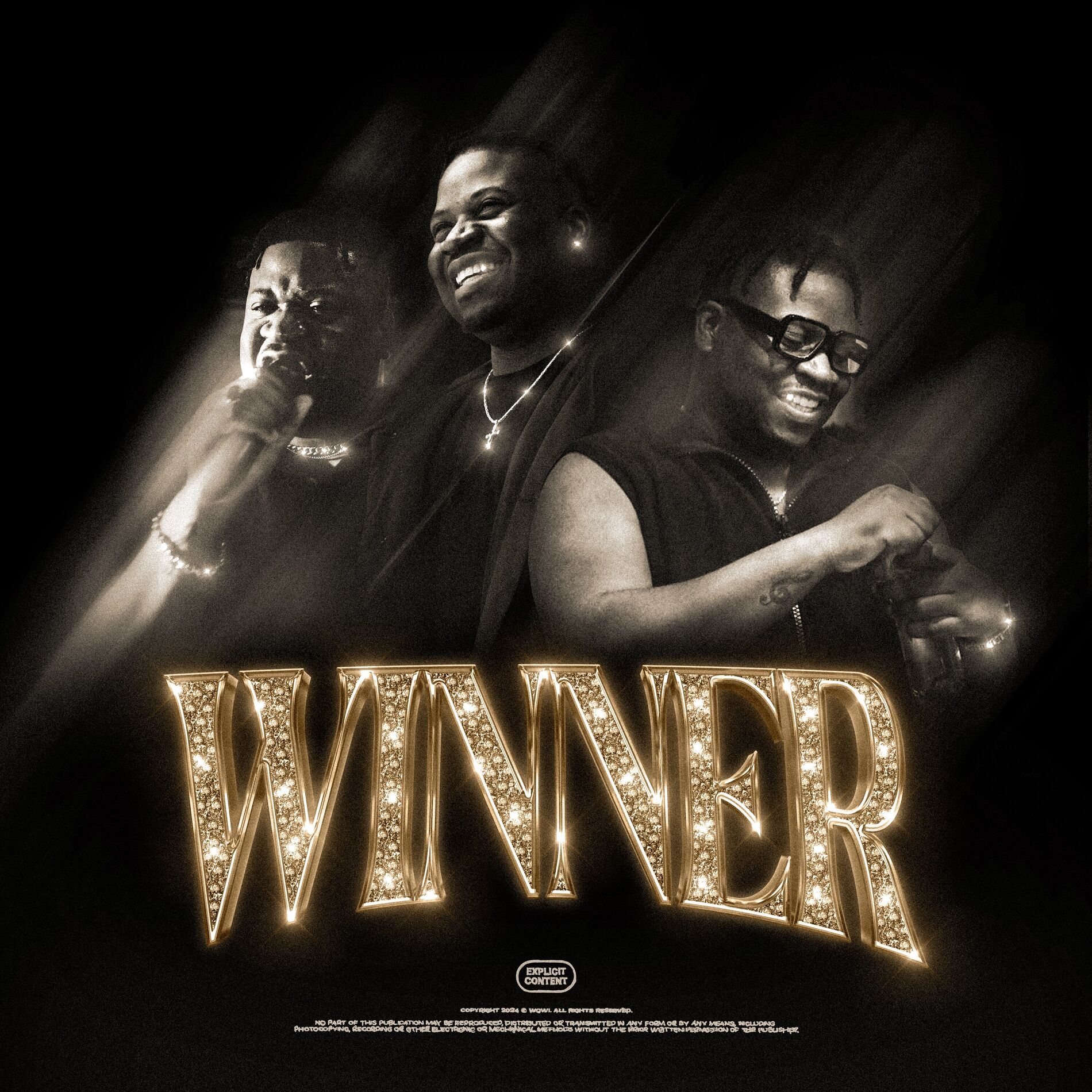 Album cover of Winner
