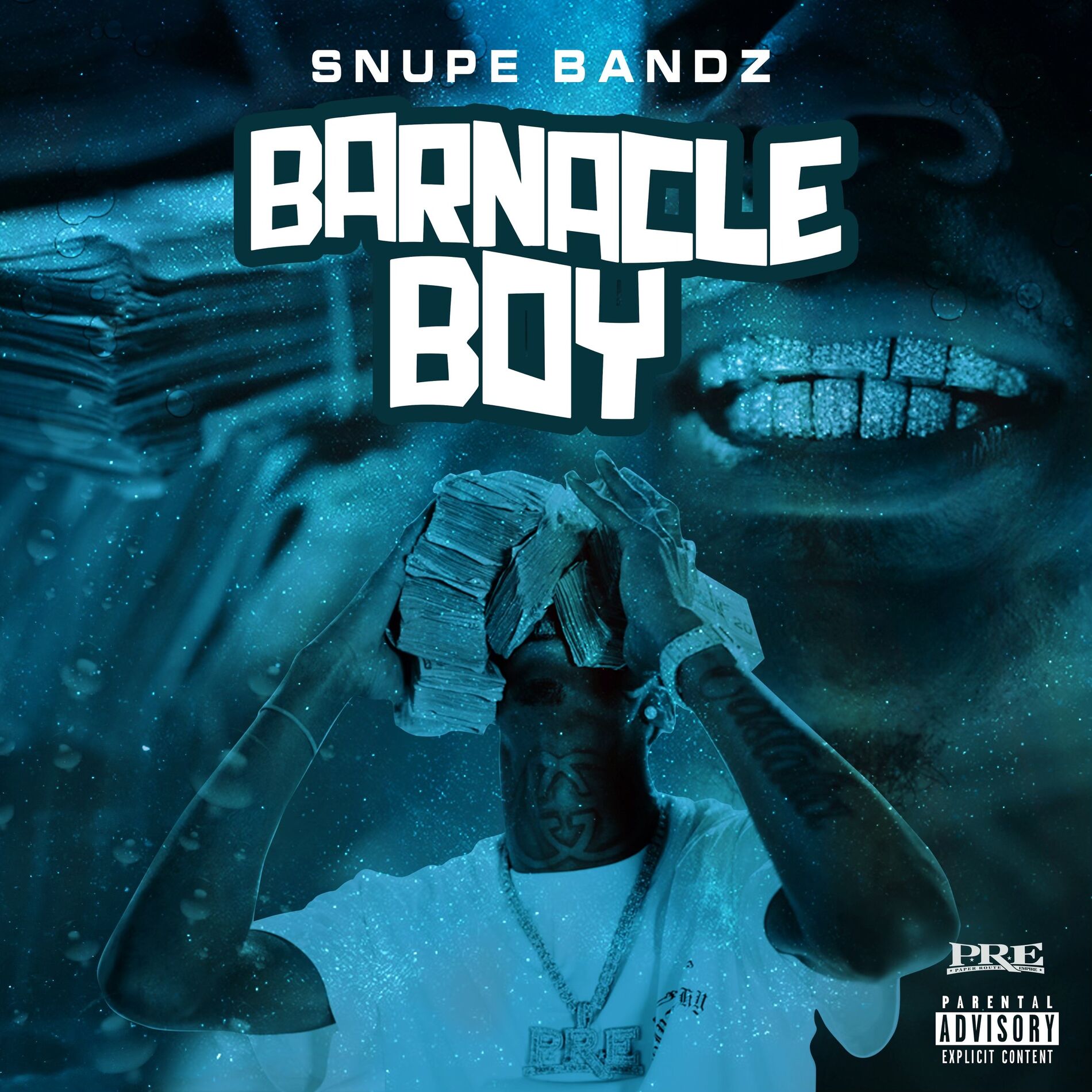 Album cover of Barnacle Boy