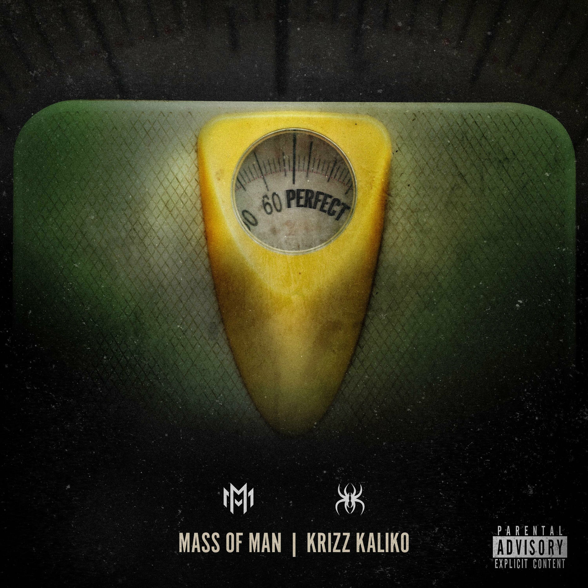 Album cover of Perfect
