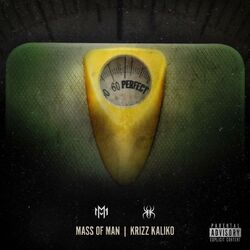 Cover of Perfect