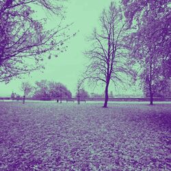 Cover of Music for Basic Imagination (Acoustic Guitars)