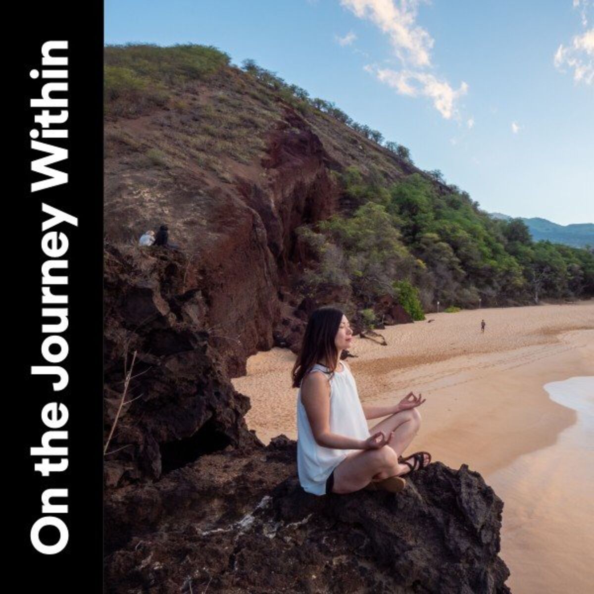 Album cover of On the Journey Within
