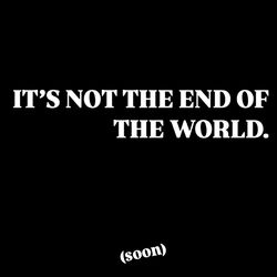 Cover of IT’S NOT THE END OF THE WORLD.
