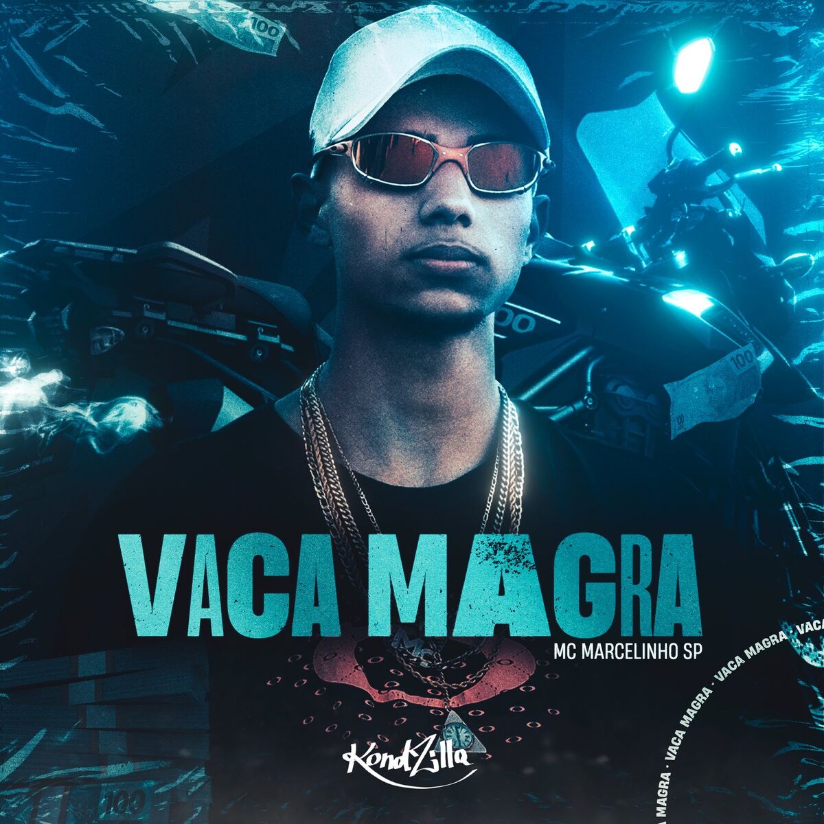 Album cover of Vaca Magra
