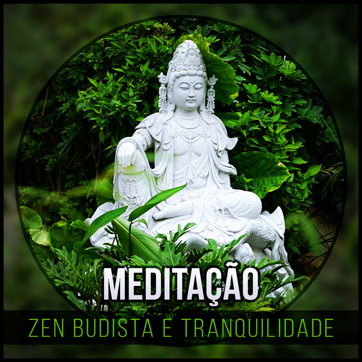 Album cover of Calmante Música Ambiente
