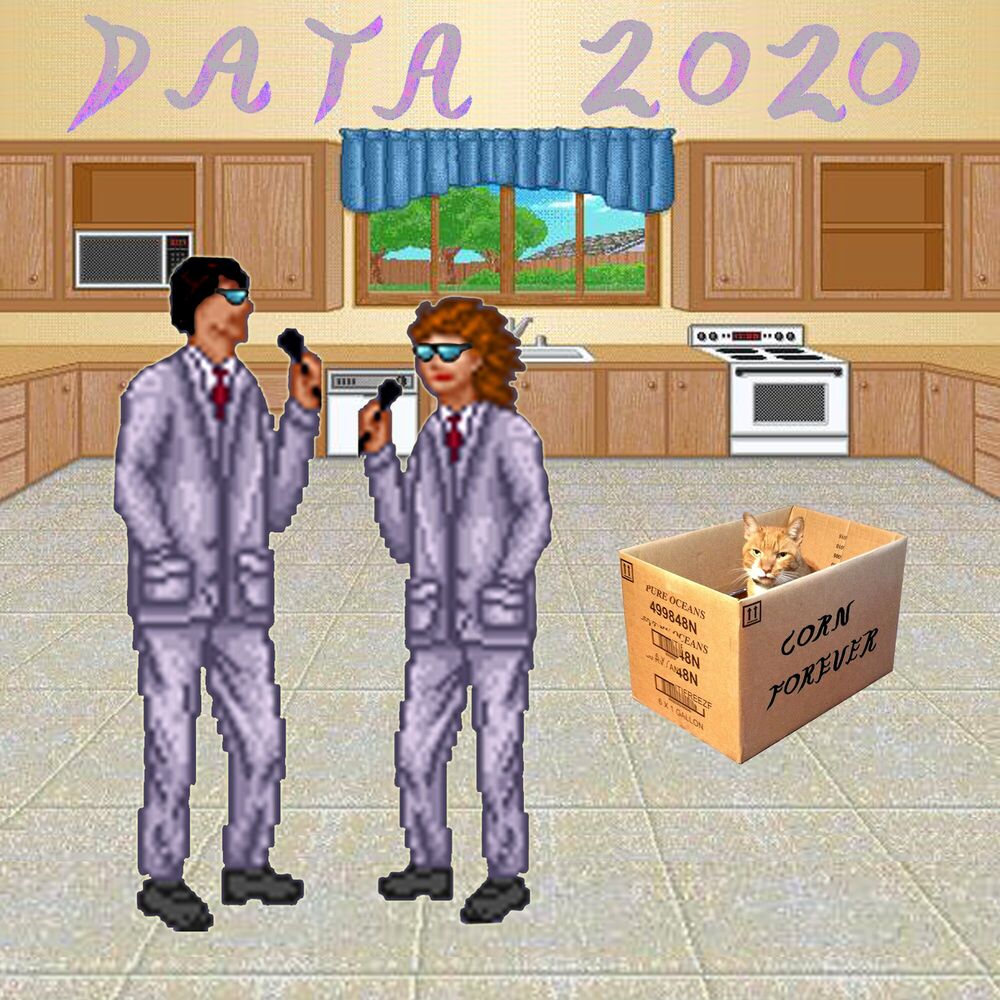 Picture of Data 2020