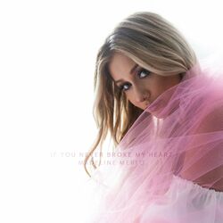 Cover of If You Never Broke My Heart