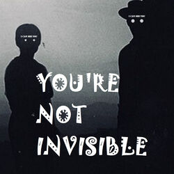 Cover of You're Not Invisible