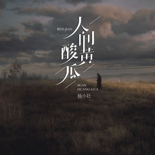 人间酸黄瓜
