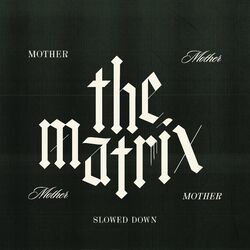 Cover of The Matrix (Slowed Down)