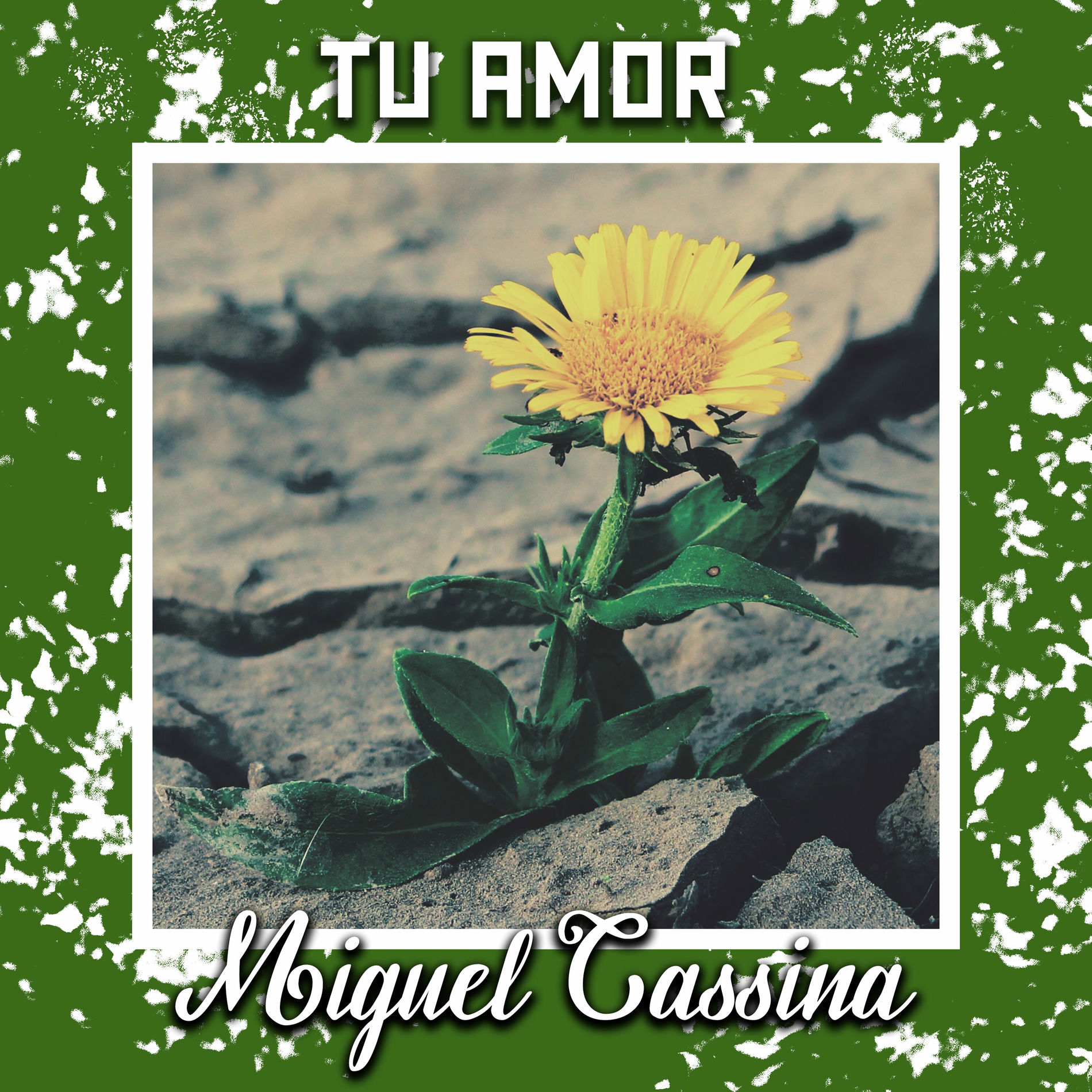 Album cover of Tu Amor
