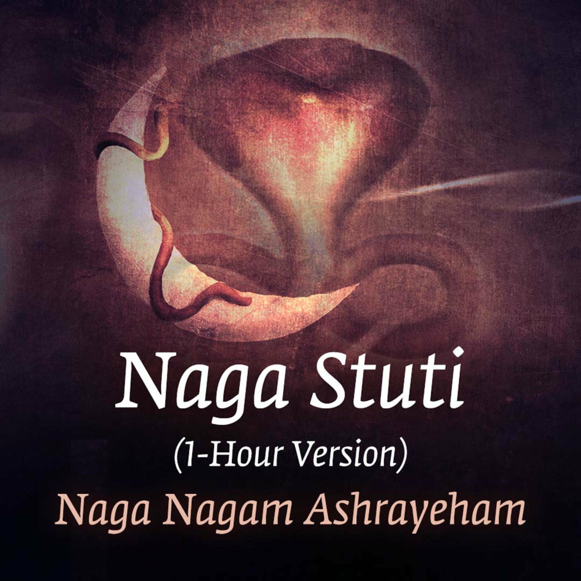 Album cover of Naga Stuti (Naga Nagam Ashrayeham) (1 Hour version)