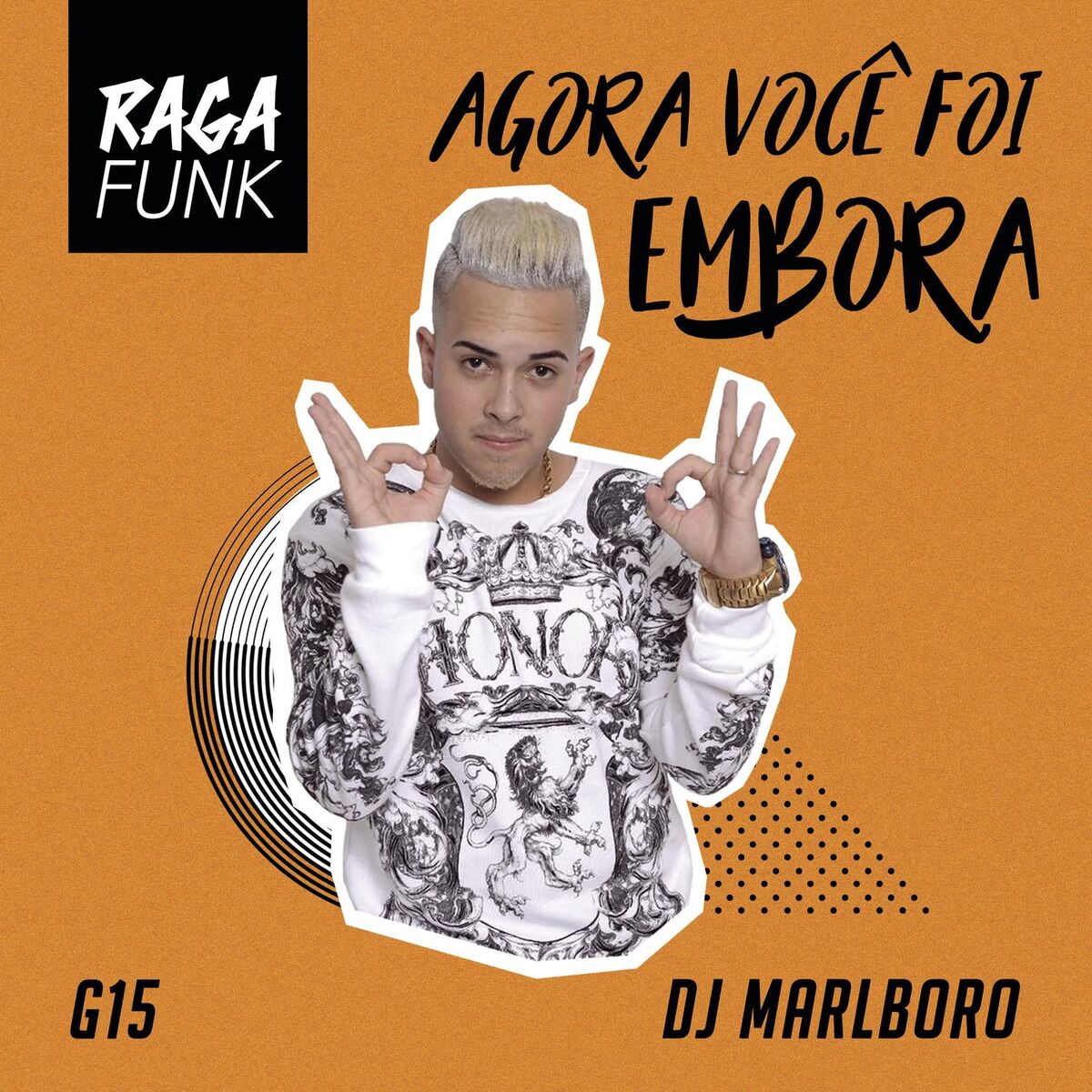 Album cover of Agora Você Foi Embora