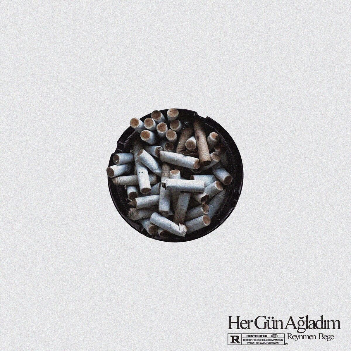 Album cover of HER GÜN AĞLADIM