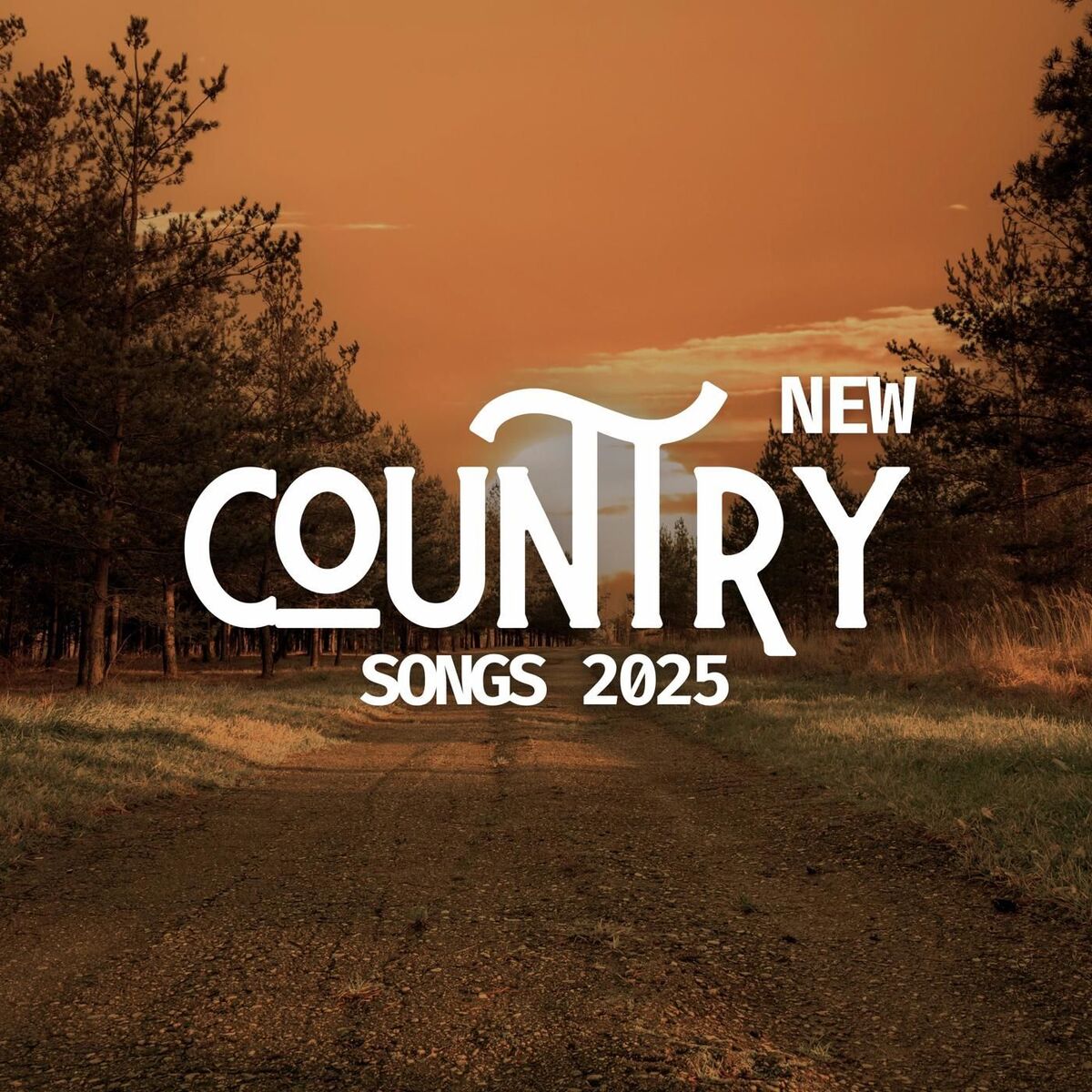 Album cover of New Country Songs 2025