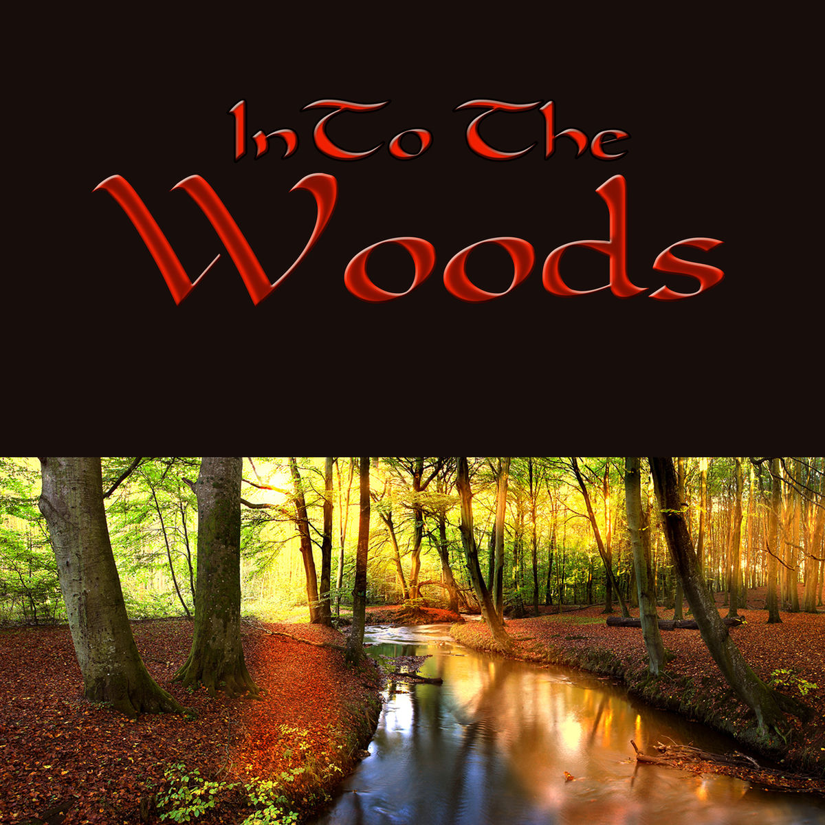 Album cover of Into the Woods – Nature Sounds Magic Music for Relaxation Meditation (Forest, Wood, Rain, River, Cricket and Birds Sounds)