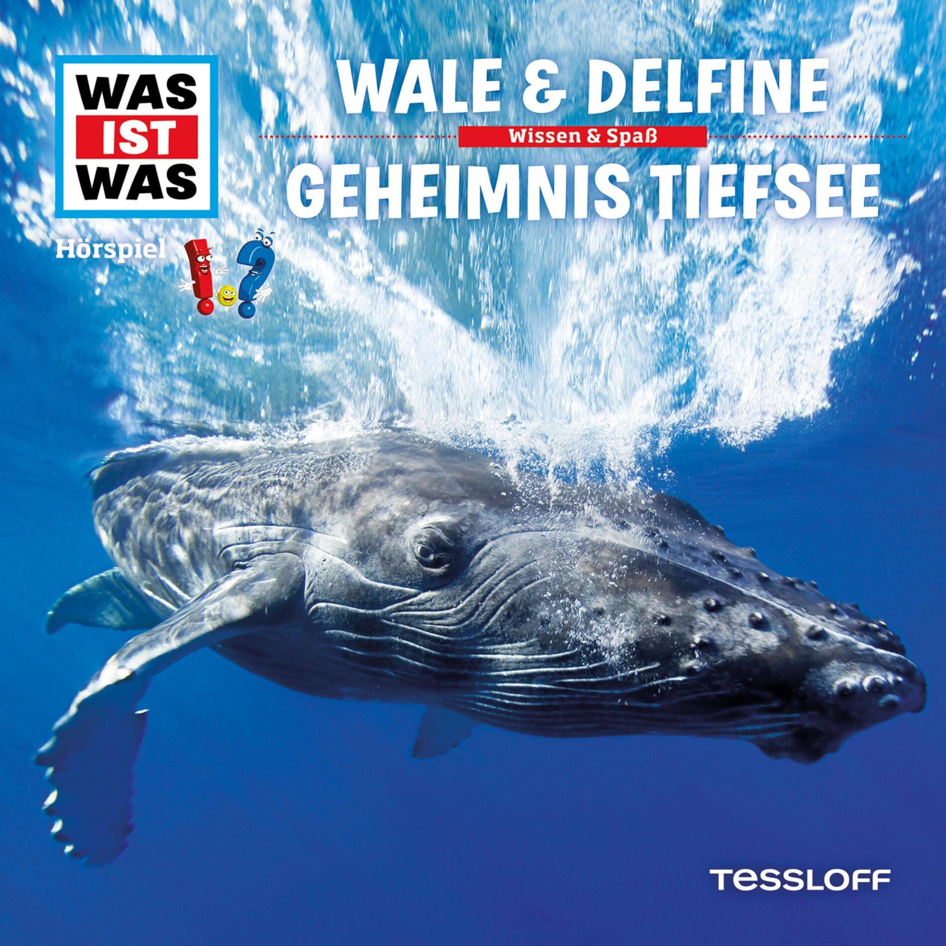 Album cover of 13: Wale & Delfine / Geheimnis Tiefsee