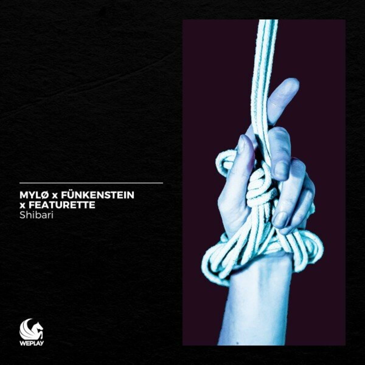 Album cover of Shibari