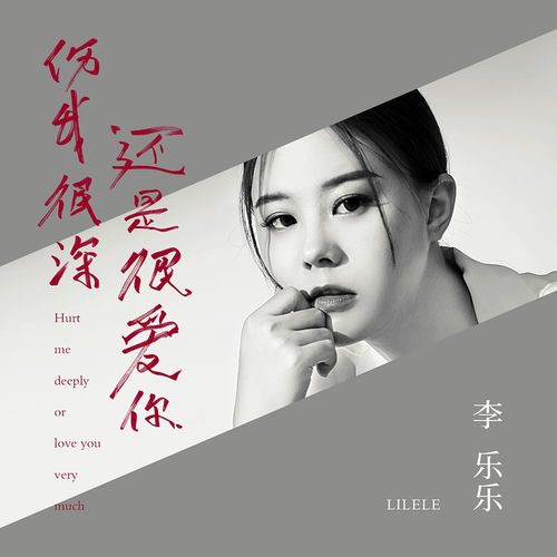 伤我很深我还是很爱你