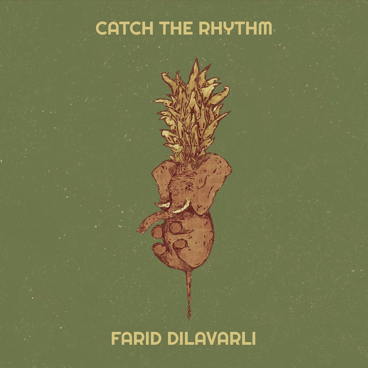 Album cover of Catch the Rhythm
