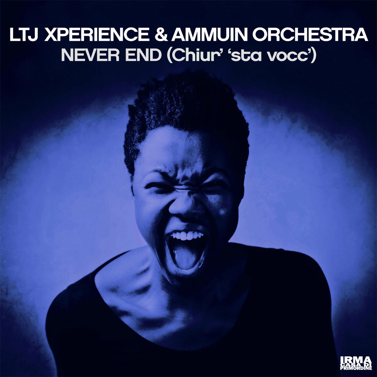 Album cover of Never End