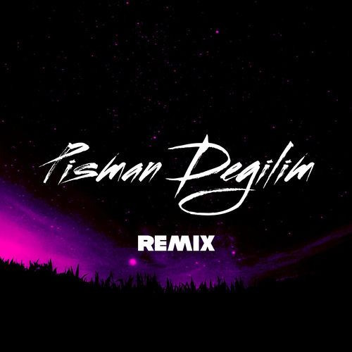 Pişman Değilim (Remix) cover art