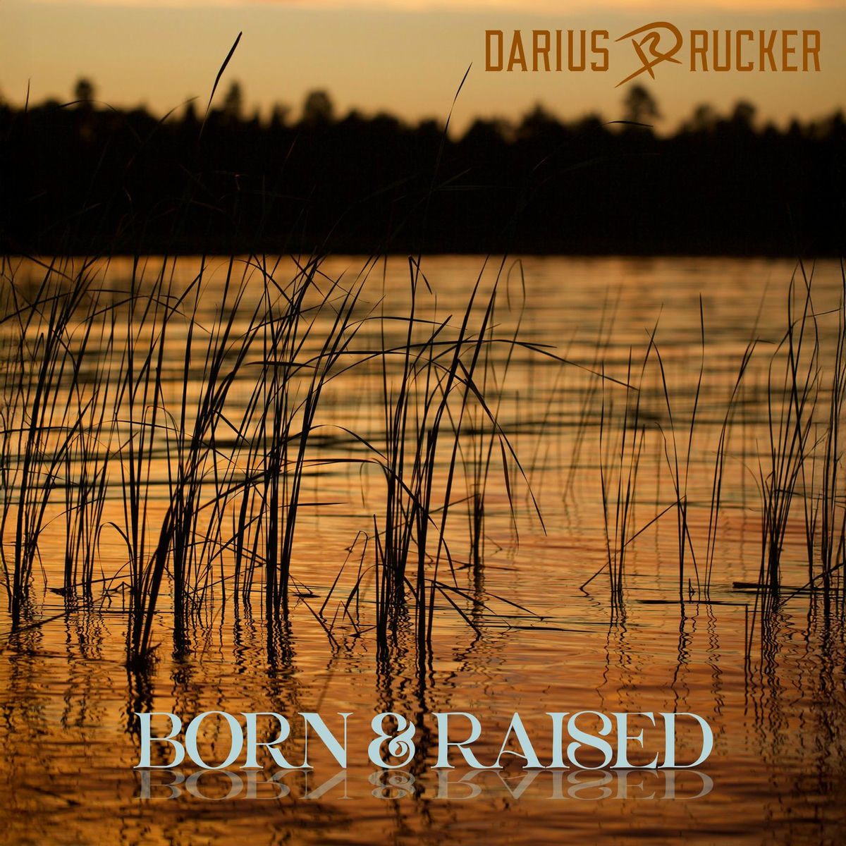 Album cover of Born and Raised