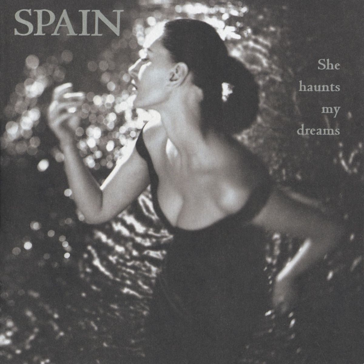 Album cover of She Haunts My Dreams