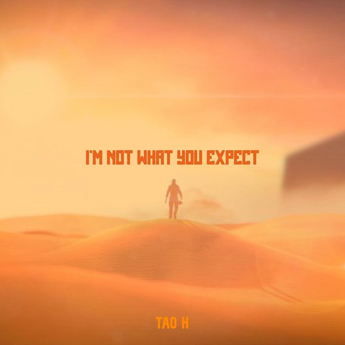 Album cover of I'm Not What You Expect