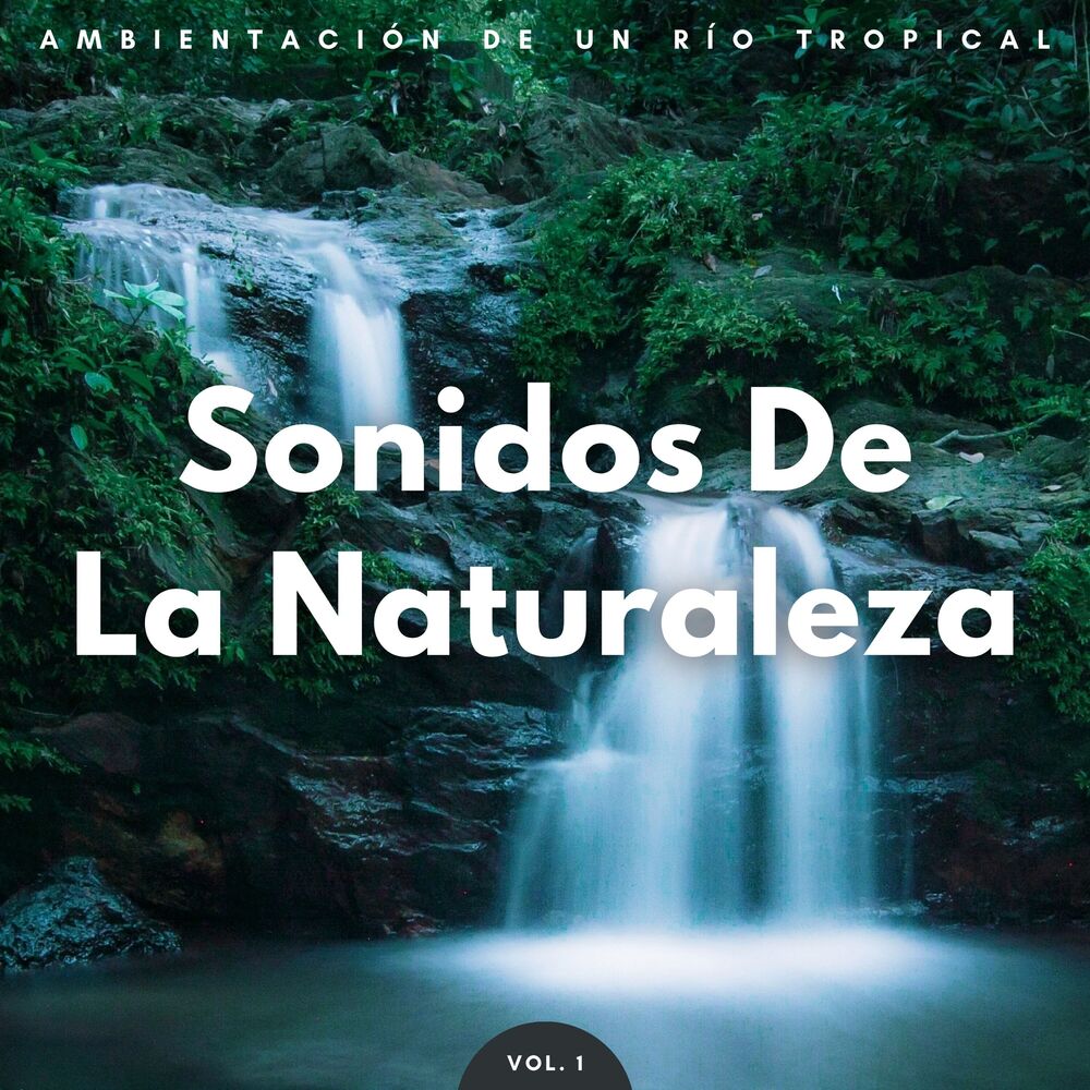 Picture of Sonidos De La Naturaleza: Ambientación De Un Río Tropical Vol. 1