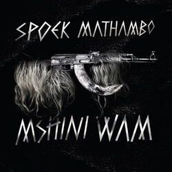 Cover of Mshini Wam