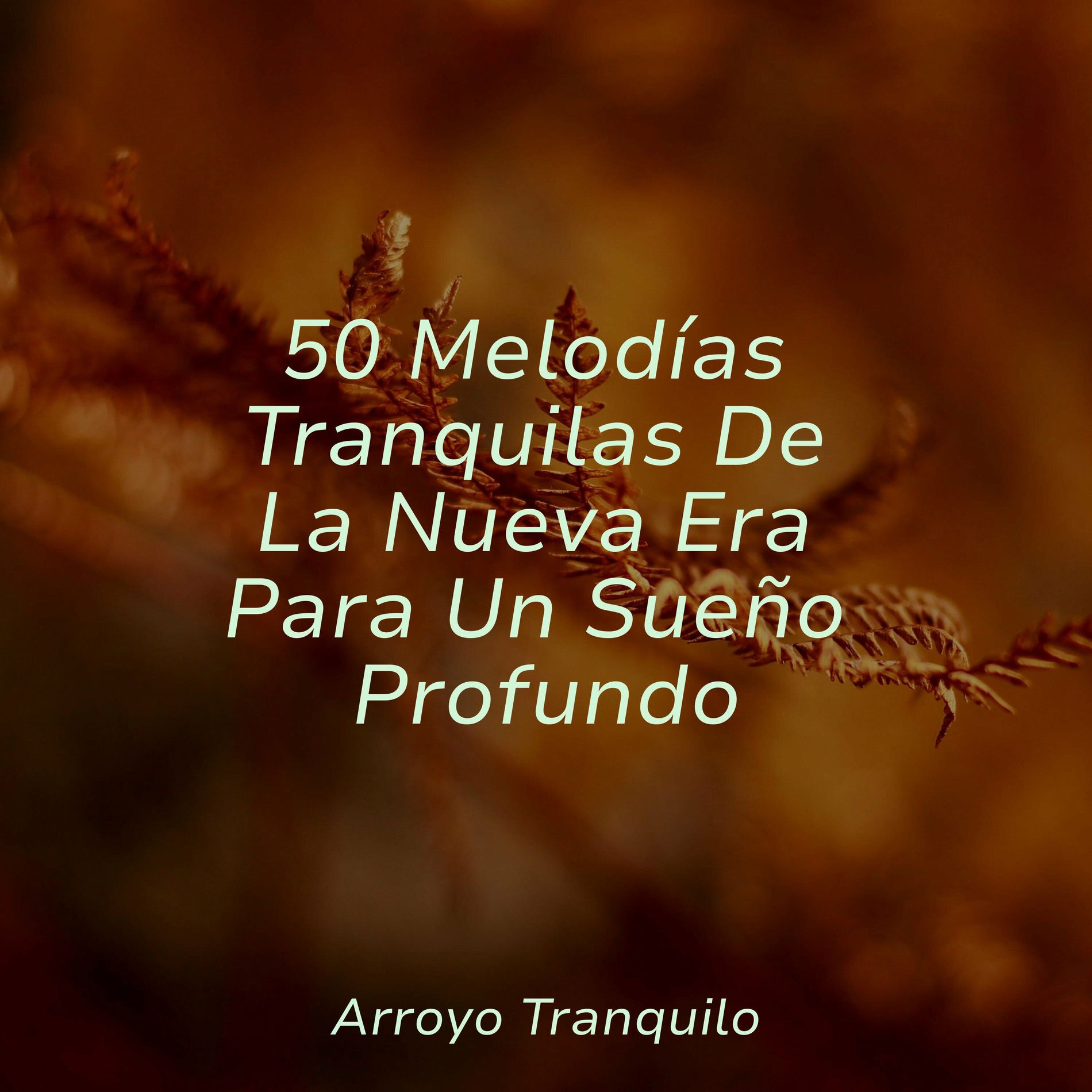 Album cover of 50 Melodías Tranquilas De La Nueva Era Para Un Sueño Profundo