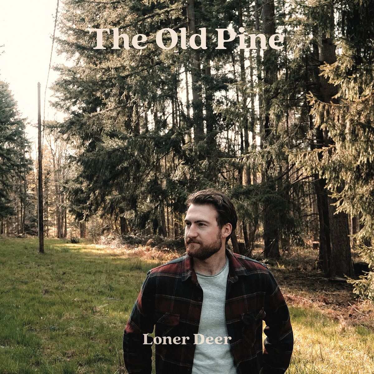 Album cover of Leather Hat