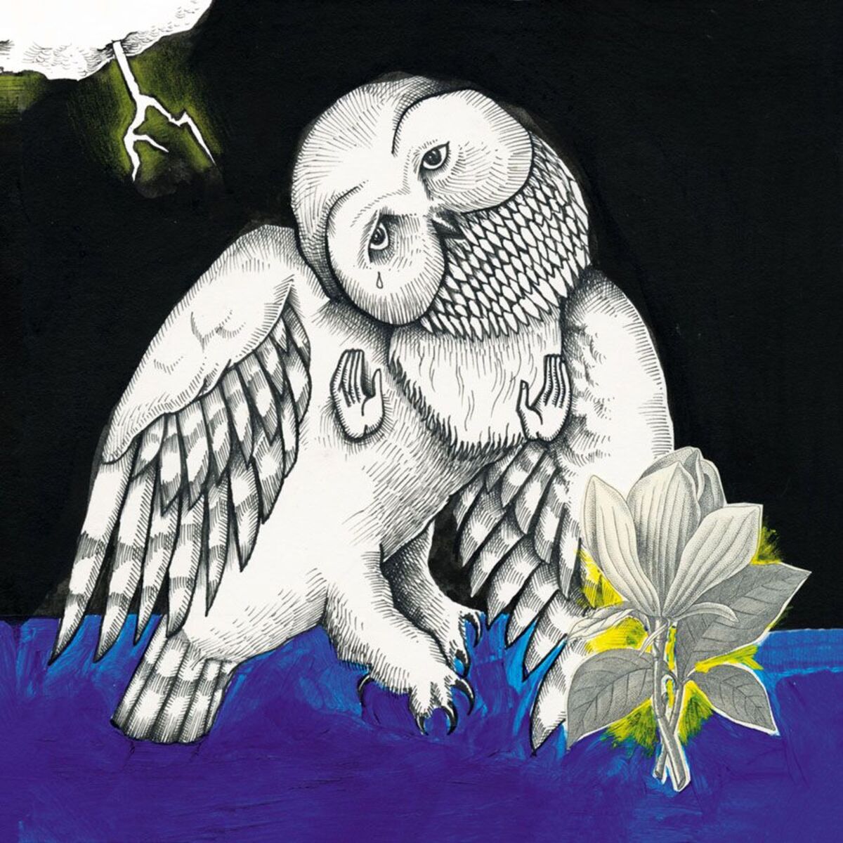 Album cover of The Magnolia Electric Co.