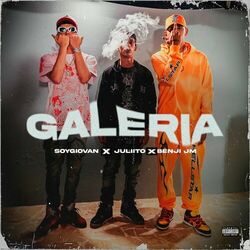 Cover of Galeria