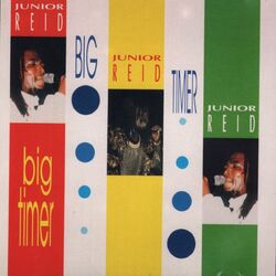 Cover of Big Timer