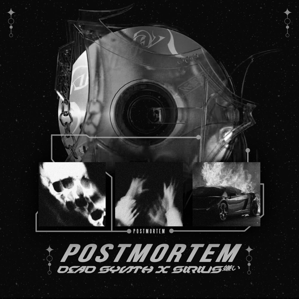 Picture of Postmortem
