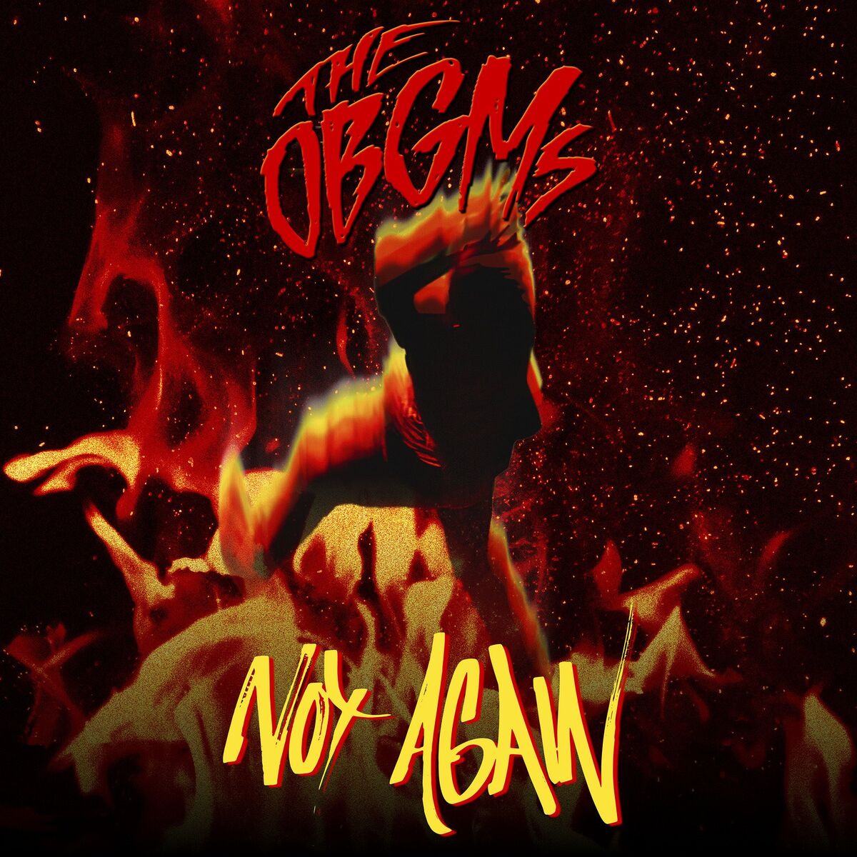 Album cover of Not Again