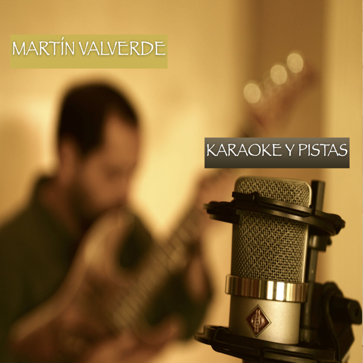 Album cover of Karaoke y Pistas