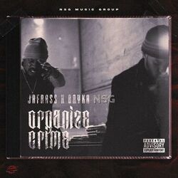 Cover of Organize Crime