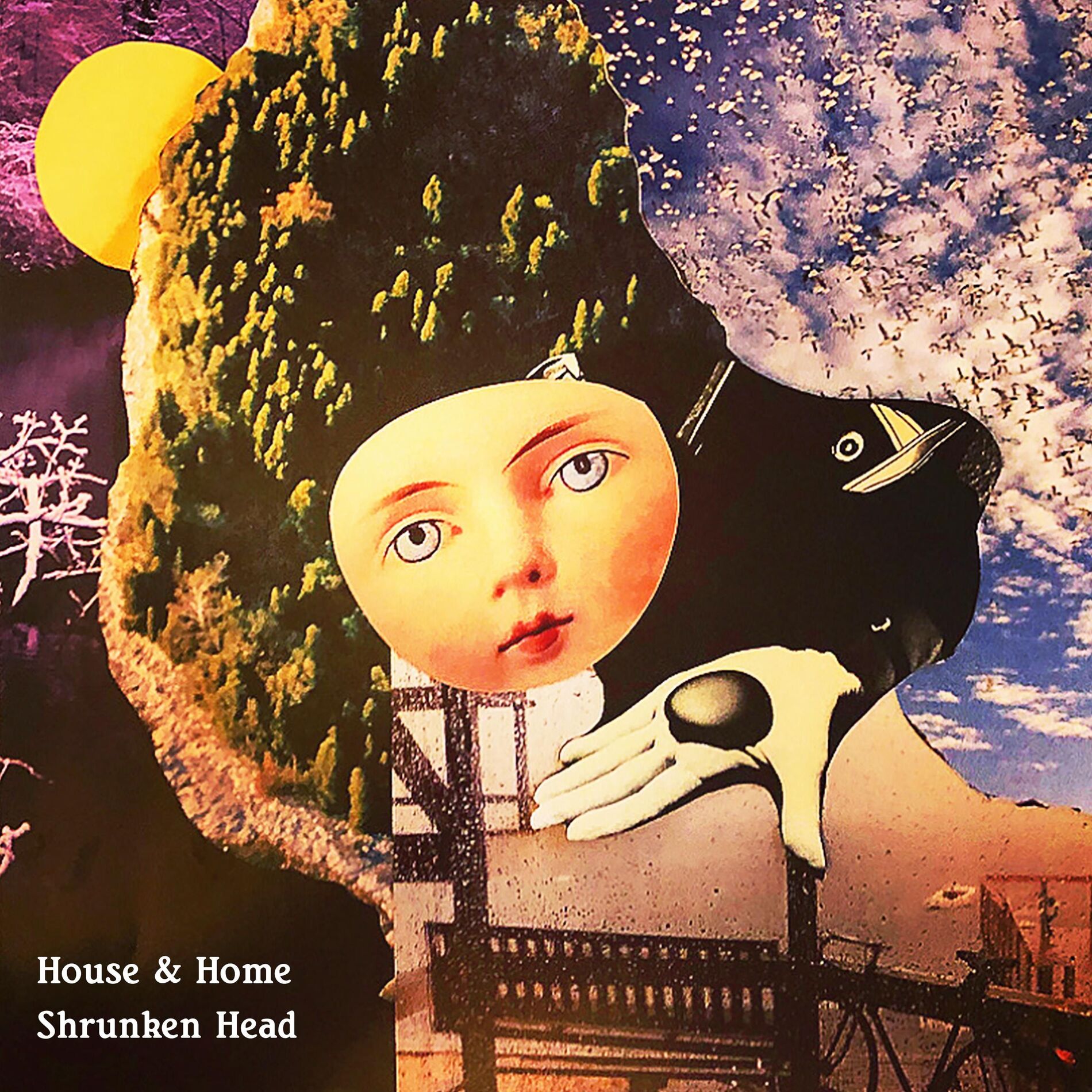 Album cover of Shrunken Head