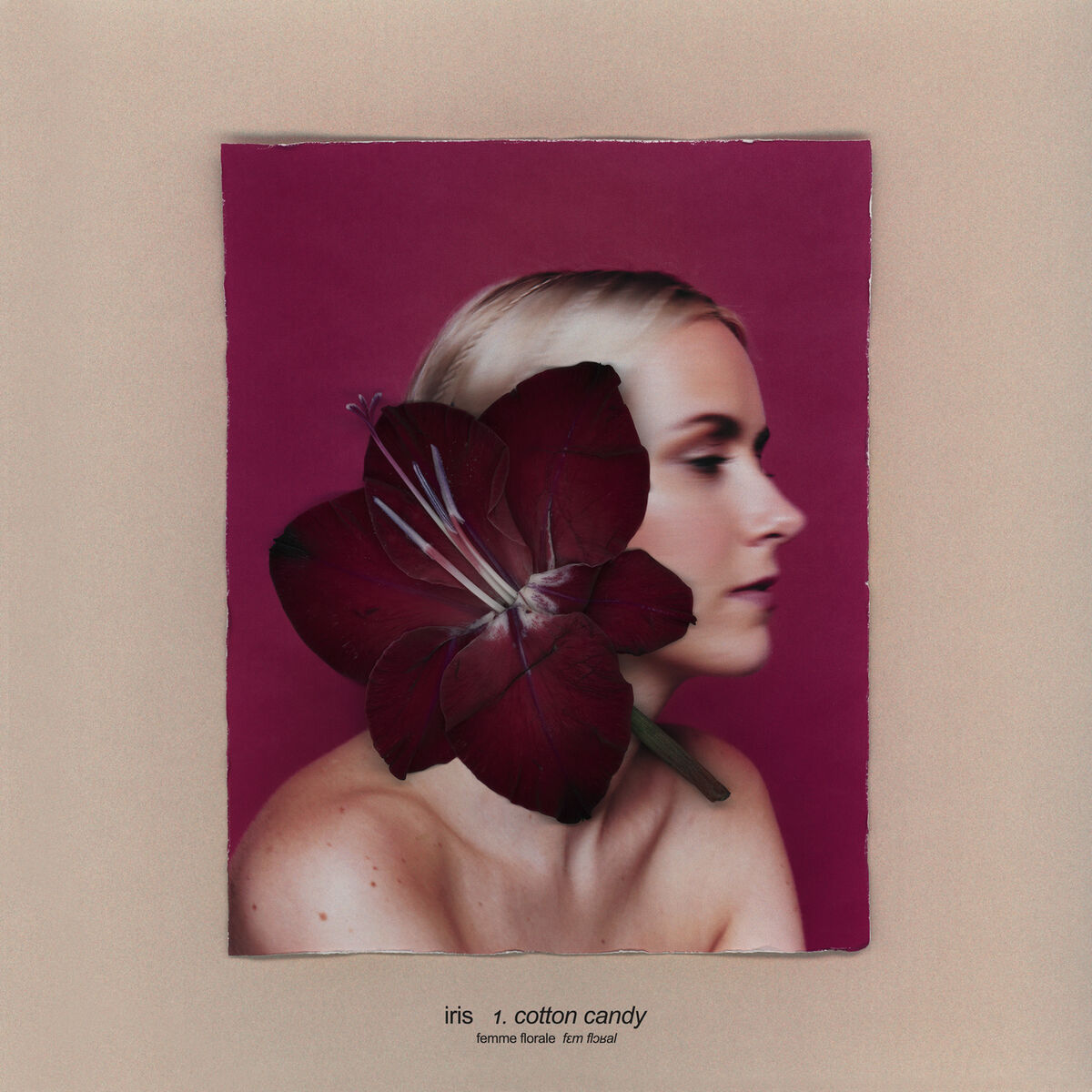Album cover of cotton candy