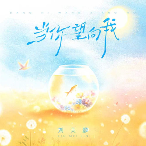 当你望向我