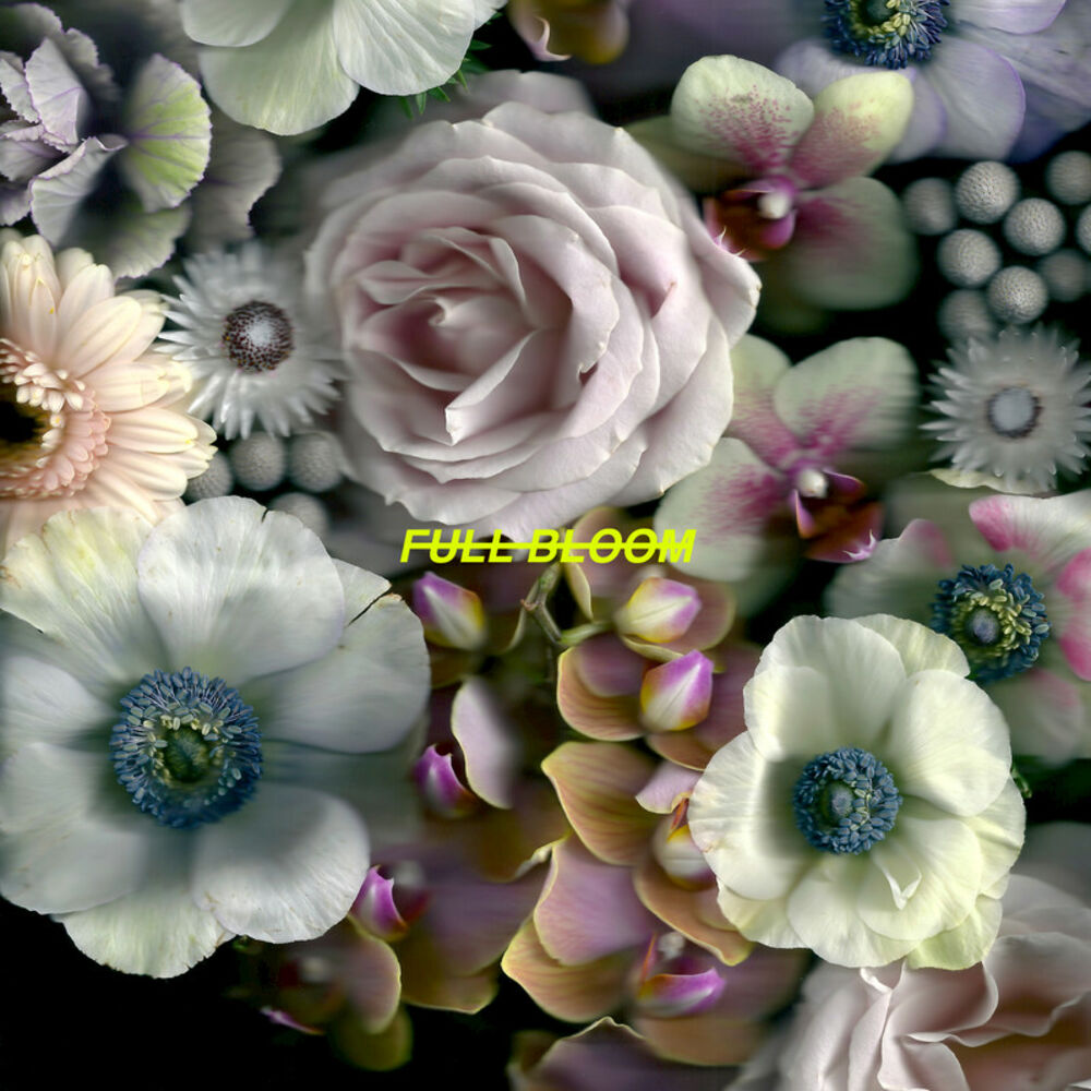 Picture of Full Bloom